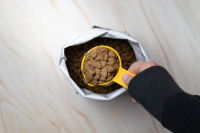 Une femme prend des croquettes pour chat avec une dosette