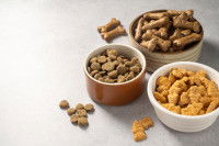 Des bols contenant différents types de croquettes pour chat