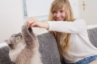Une femme joue avec son chat gris