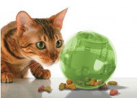 Un chat regarde une boule avec des friandises à l'intérieur