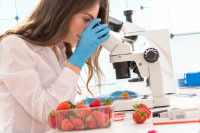 Une femme laborantine examine une fraise au microscope