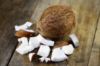 Quelle quantité de noix de coco donner à un chat ?