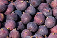Un tas de figues