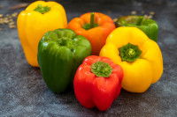 Des poivrons de différentes couleurs sur un fond gris