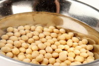 Des graines de soja mises à tremper dans l'eau