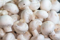 Des champignons de Paris entiers