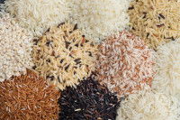 Différents types de riz de plusieurs couleurs