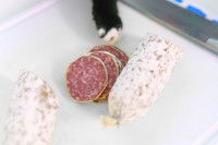 Un chat tente de voler du saucisson posé sur une table