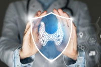 Un vétérinaire montre un schéma de la thyroïde