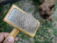 Une brosse pour chat remplie de poils