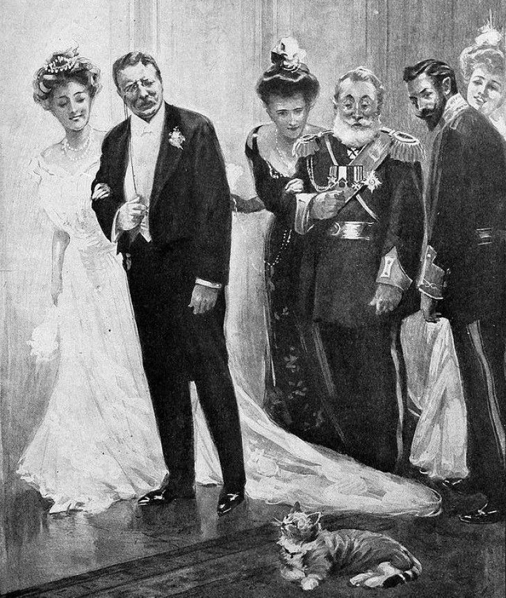 Le président américain Theodore Roosevelt avec l'un de ses chats, Slippers.