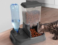 Un chat tigré mange dans son distributeur de croquettes