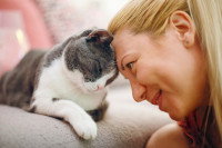 Un chat et une femme se font un câlin de la tête