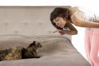 Maitresse interdisant quelque chose à son chat