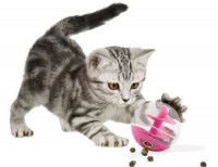 Un chaton tigré joue avec un boule contenant de la nourriture