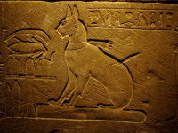 Une représentation ancienne du chien par les égyptiens 