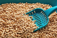 Une photo de litière de chat et d'une pelle turquoise posée dedans