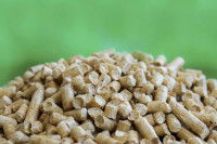 De la litière pour chat végétale