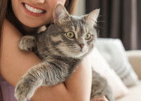 Une femme souriante tient son chat gris dans les bras
