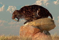 Un félin à dents de sabre assis sur un rocher