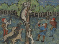 Une enluminure d'un manuscrit du Moyen Âge représentant des chasseurs et leurs chiens s'attaquant à un chat blessé qui s'accroche à un arbre