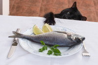 Un chat essayant d'attraper un poisson servi sur une table
