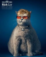 Une affiche publicitaire pour la « Rich List » 2014 du Sunday Times, représentant Elton John en chat