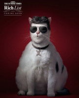 Une affiche publicitaire pour la « Rich List » 2014 du Sunday Times, représentant Simon Cowell en chat
