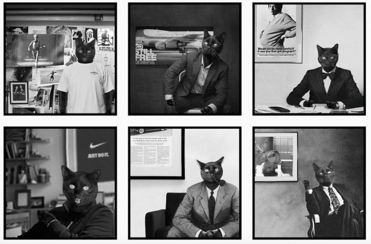 Six montages photo en noir et blanc de l'agence We Are Social mettant en scène un chat en costume