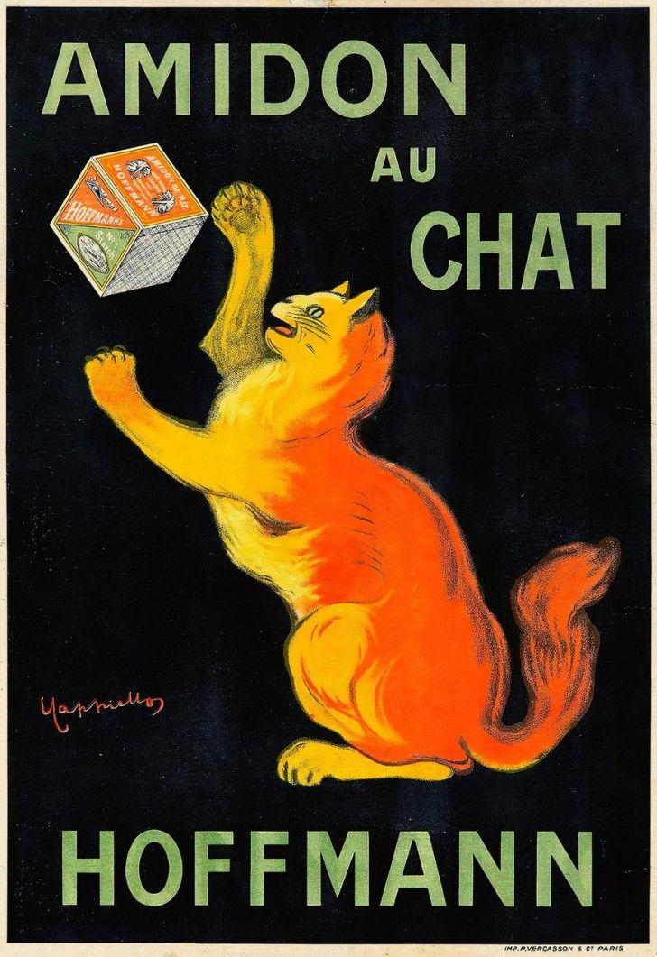 Une affiche avec un chat pour faire la publicité de l'amidon Hoffmann (1912)