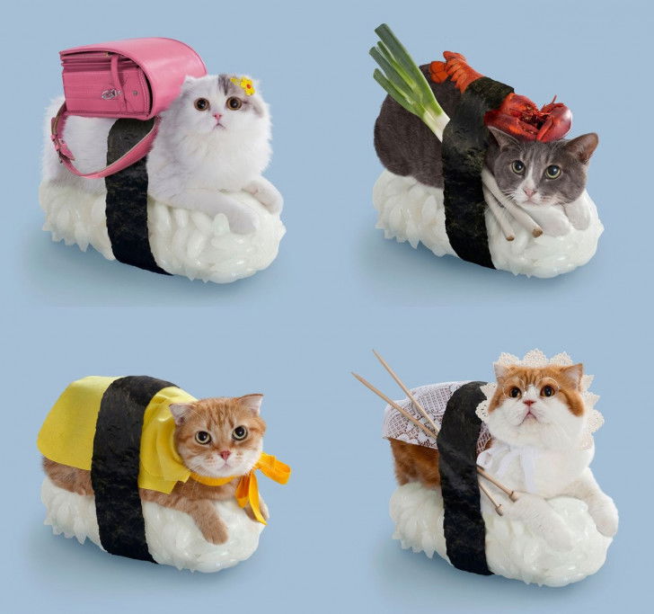 L'affiche publicitaire des Neko sushis de la société japonaise Tange & Nakimushi Peanuts