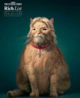 Une affiche publicitaire pour la « Rich List » 2014 du Sunday Times, représentant Richard Branson en chat