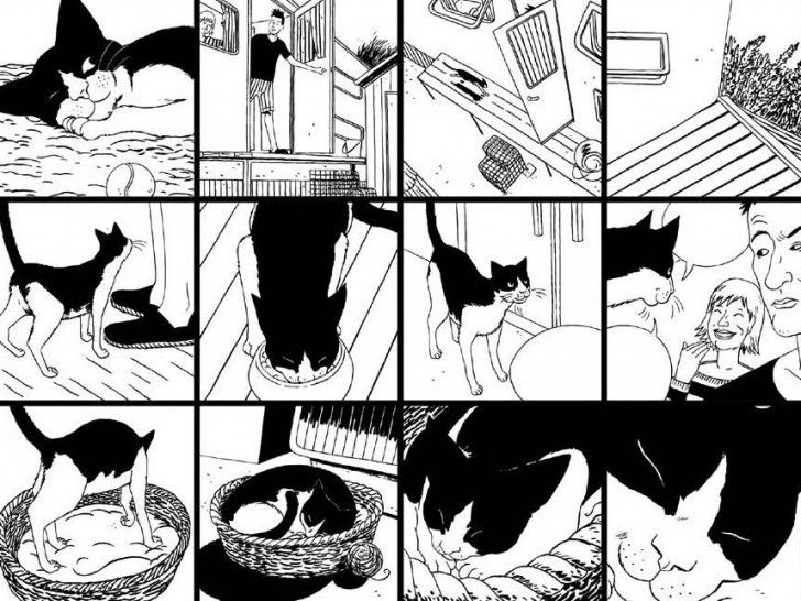 Douze cases de la bande dessinée « Sugar, Ma vie de chat » montrant Sugar dormant et mangeant chez lui