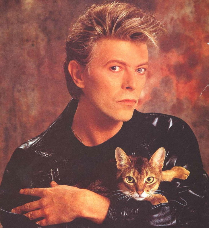 David Bowie tenant un chat Abyssin dans ses bras
