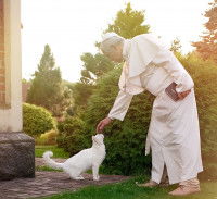 Le pape Benoît XVI en train de caresser un chat blanc