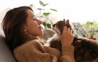 Citations sur le bonheur de vivre avec un chat