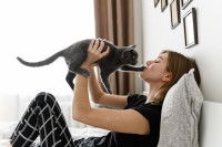 Citations sur les personnes qui aiment les chats... et les autres
