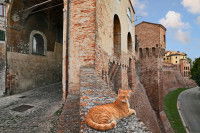 Un chat allongé sur les remparts d'un château médiéval