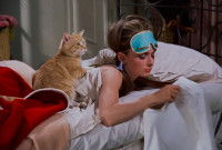 Le chat Orangey assis sur le dos d'Audrey Hepburn dans le film « Diamants sur canapé »