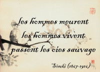 Un exemple d'un haïku en français avec un dessin d'oiseau