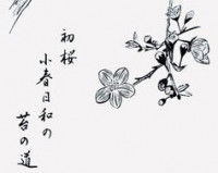 Un haïku japonais avec un dessin en noir et blanc de sakura (fleur de cerisier)