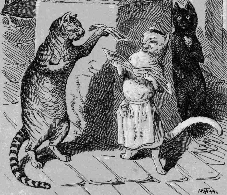Une illustration de « Le Chat Murr » réalisée par Hosemann et montrant trois chats debout