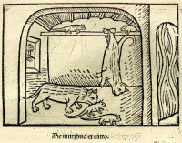 Une illustration du conte « Le chat et les rats » tirée d'une édition allemande des Fables d'Ésope