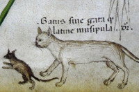 Une illustration d'un chat chassant une souris provenant d'un livre du Moyen Âge