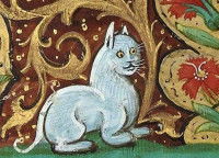 Une illustration d'un chat sur une enluminure dans un livre du Moyen Âge