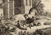 Une illustration et noir et blanc de la fable « Le Chat, la Belette et le Petit Lapin », de Jean de La Fontaine