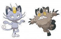 Une image des Pokémon Miaouss d’Alola et Miaouss de Galar