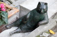 La statue du chat Tombili, à Istanbul (Turquie)