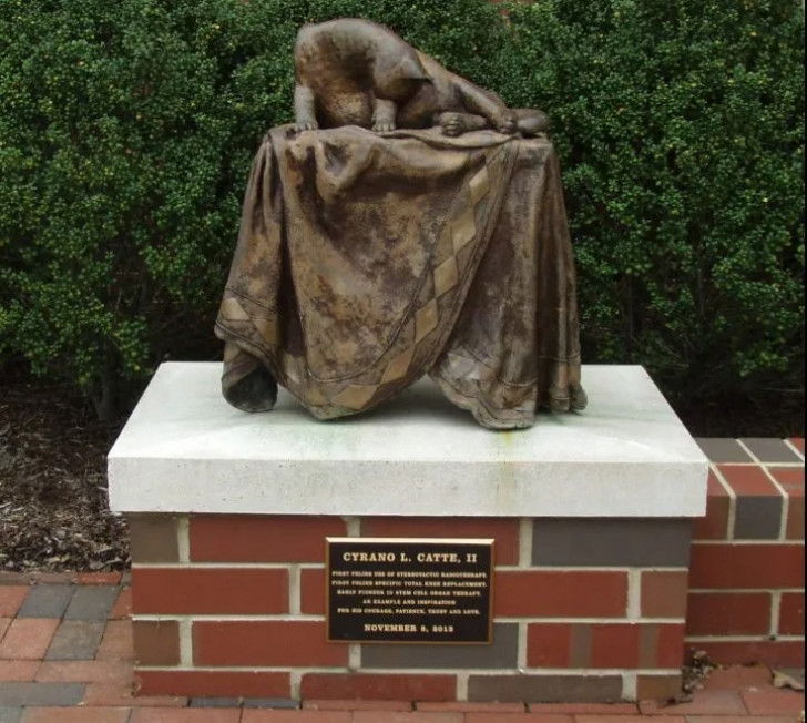 La statue du chat Ratty &agrave; Raleigh (&Eacute;tats-Unis)