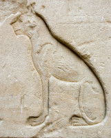 Représentation d'un chat gravé dans la pierre